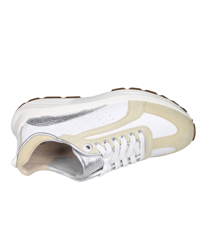 Xsensible 33013 Bailey