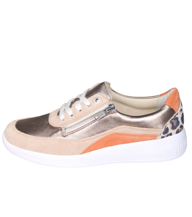 Solidus 56289 Halea Solidus 56289 Halea