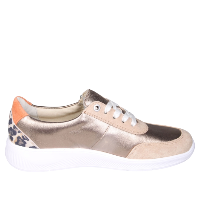 Solidus 56289 Halea Solidus 56289 Halea
