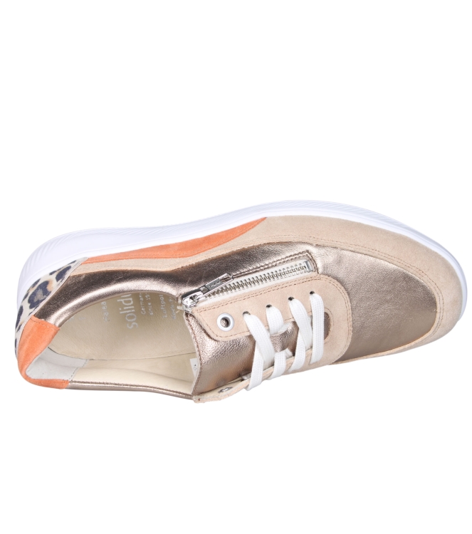 Solidus 56289 Halea Solidus 56289 Halea