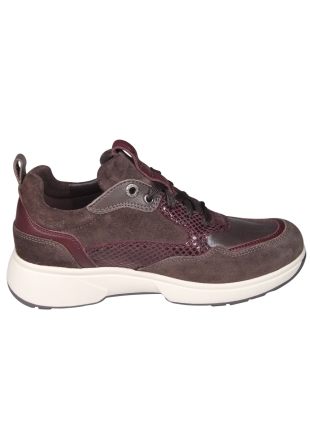 Xsensible Stretchwalker 2.0 Xsensible Stretchwalker 2.0 30215 Grenoble Bruine Sneaker