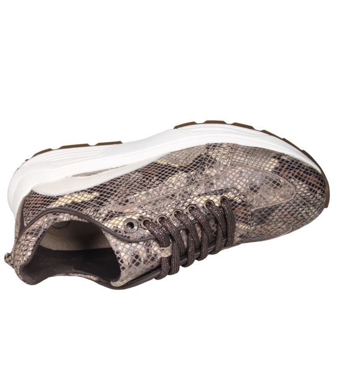 Xsensible 33013 Bailey Xsensible 33013 Bailey
