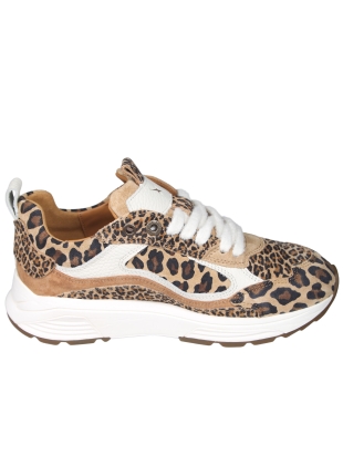 Xsensible Next Generation Xsensible Next Generation 33004 Milau Bruine Sneaker