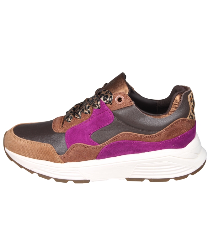 Xsensible 33000 Golden gate Xsensible 33000 Golden gate