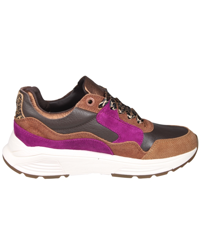 Xsensible 33000 Golden gate Xsensible 33000 Golden gate