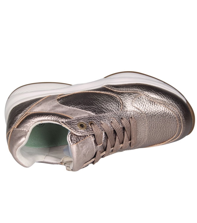 Xsensible 32009 Swx27 Xsensible 32009 Swx27