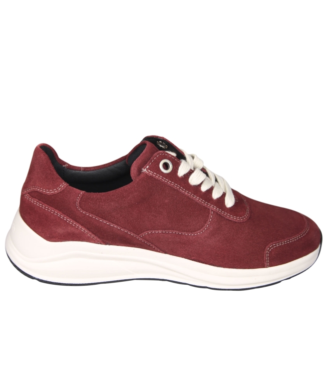 Solidus 57502 Mila Solidus 57502 Mila