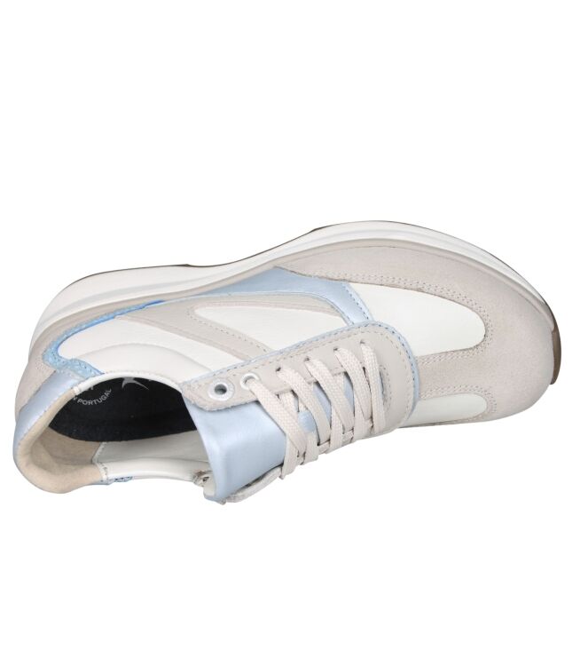 Xsensible 30154 Montana