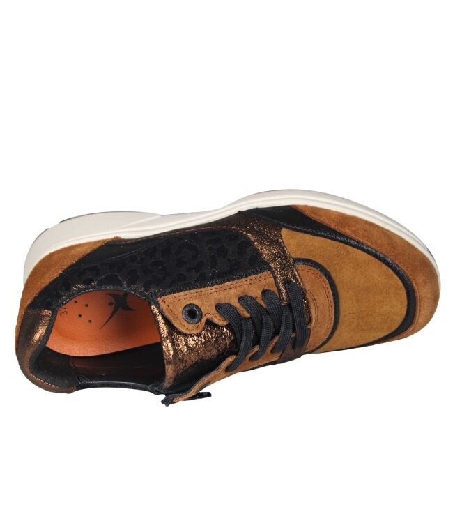 Xsensible 30229 Andorra