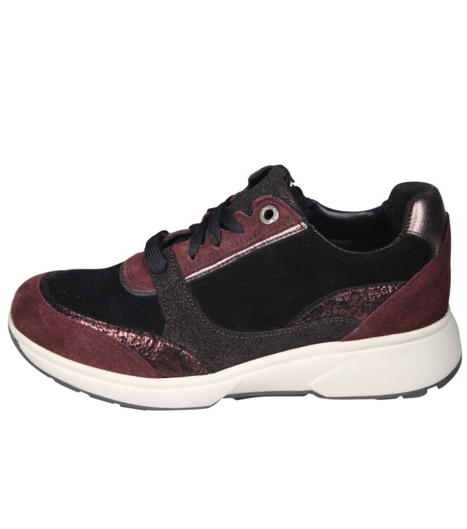 Xsensible 30229 Andorra
