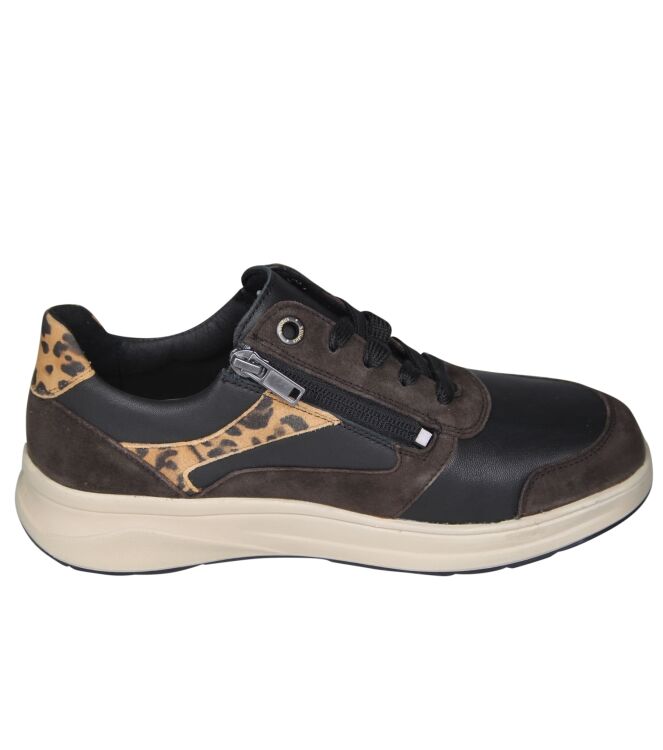 Solidus 45800 Karima