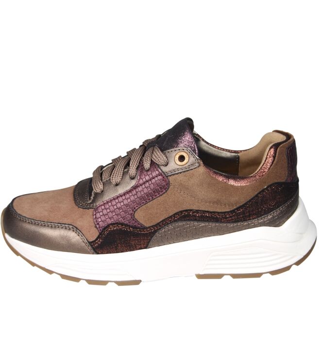 Xsensible 33000 Golden gate