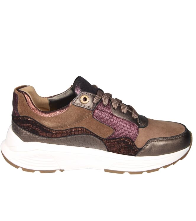 Xsensible 33000 Golden gate