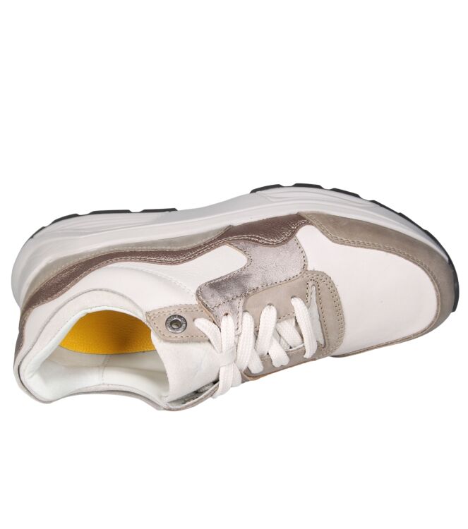 Xsensible 33000 Golden gate