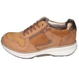 Kleur Cognac