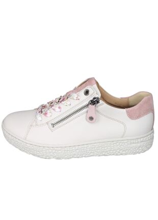 Hartjes Phil 162.1401/13