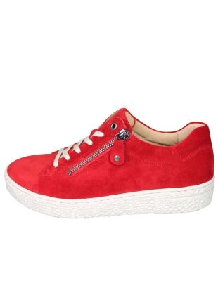 Hartjes Phil 162.1401/30