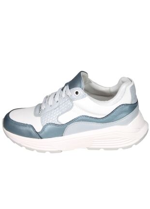 Xsensible Next Generation 33000 Golden gate