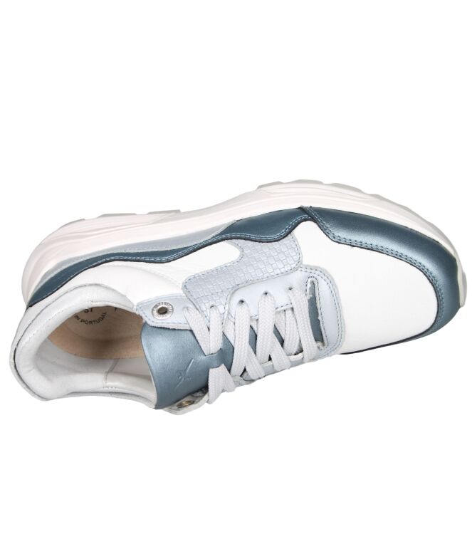 Xsensible 33000 Golden gate