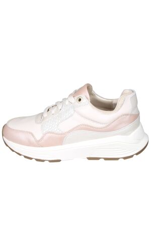 Xsensible Next Generation 33000 Golden gate