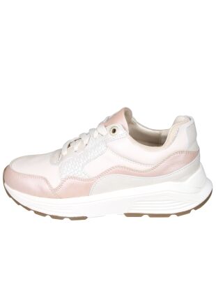 Xsensible Next Generation 33000 Golden gate