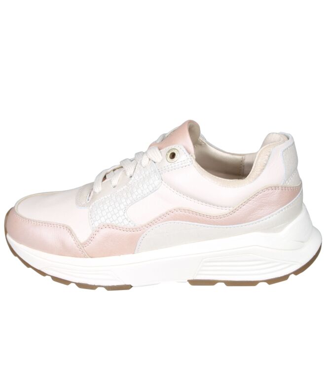 Xsensible 33000 Golden gate