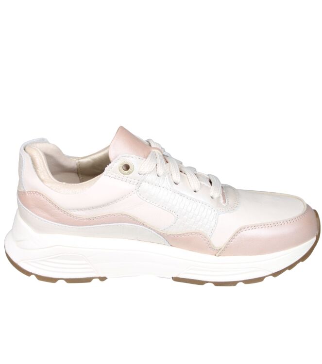 Xsensible 33000 Golden gate