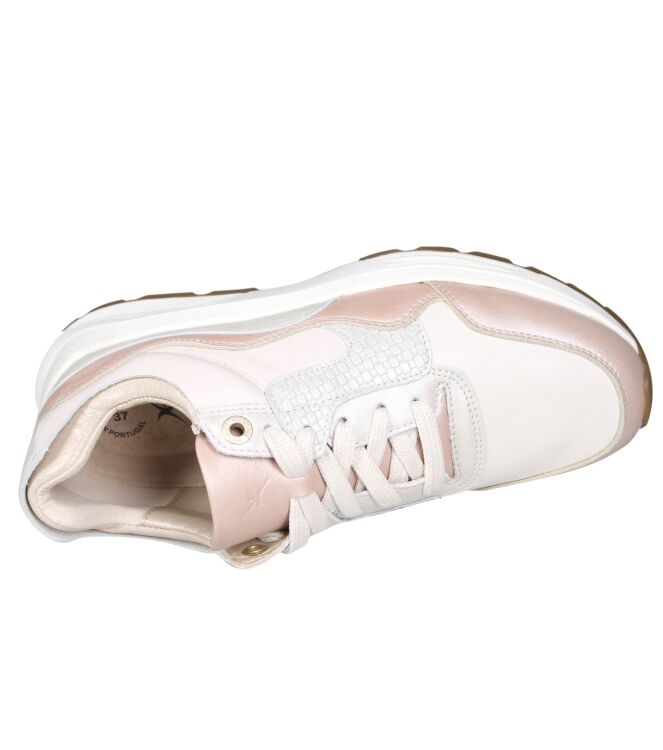 Xsensible 33000 Golden gate