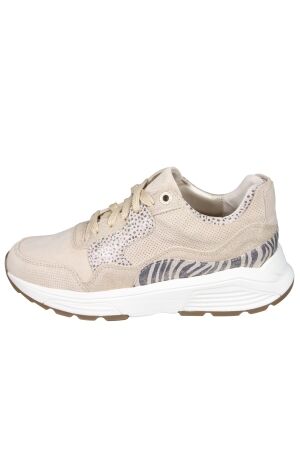 Xsensible Next Generation 33000 Golden gate