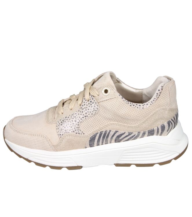 Xsensible 33000 Golden gate