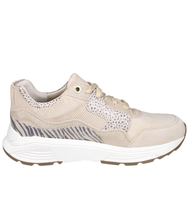 Xsensible 33000 Golden gate