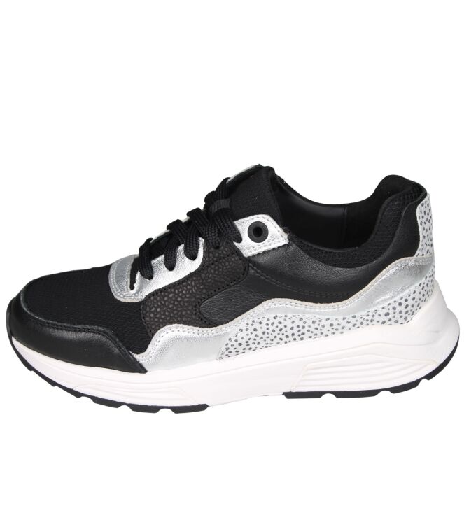 Xsensible 33000 Golden gate