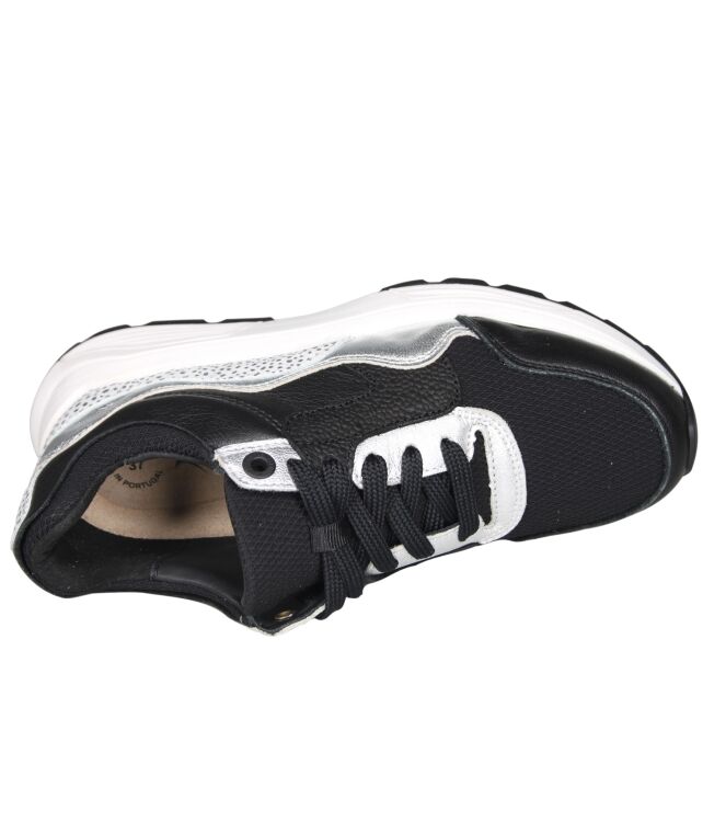 Xsensible 33000 Golden gate