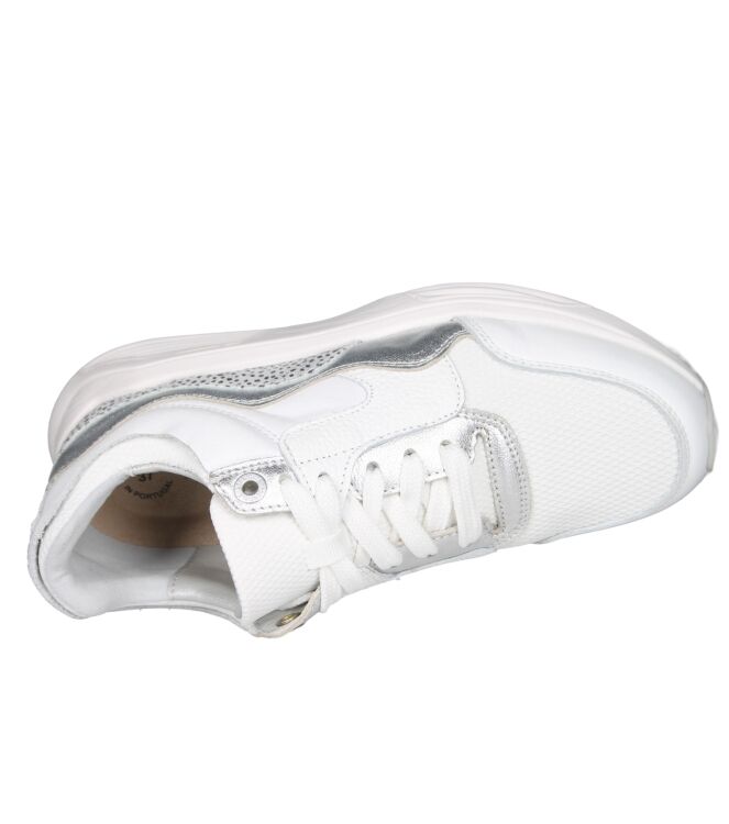 Xsensible 33000 Golden gate