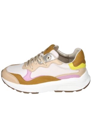 Xsensible Next Generation 33011 Rainbow