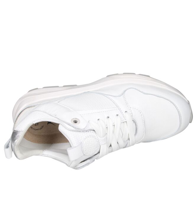 Xsensible 33012 Newport