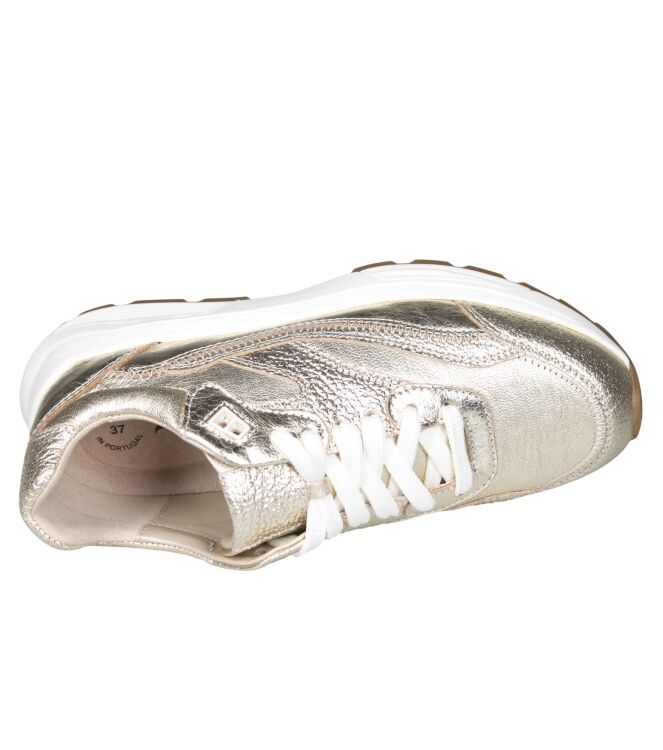 Xsensible 33014 Liberty