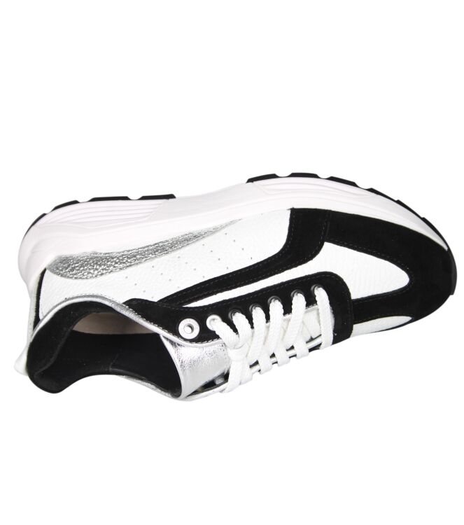 Xsensible 33013 Bailey