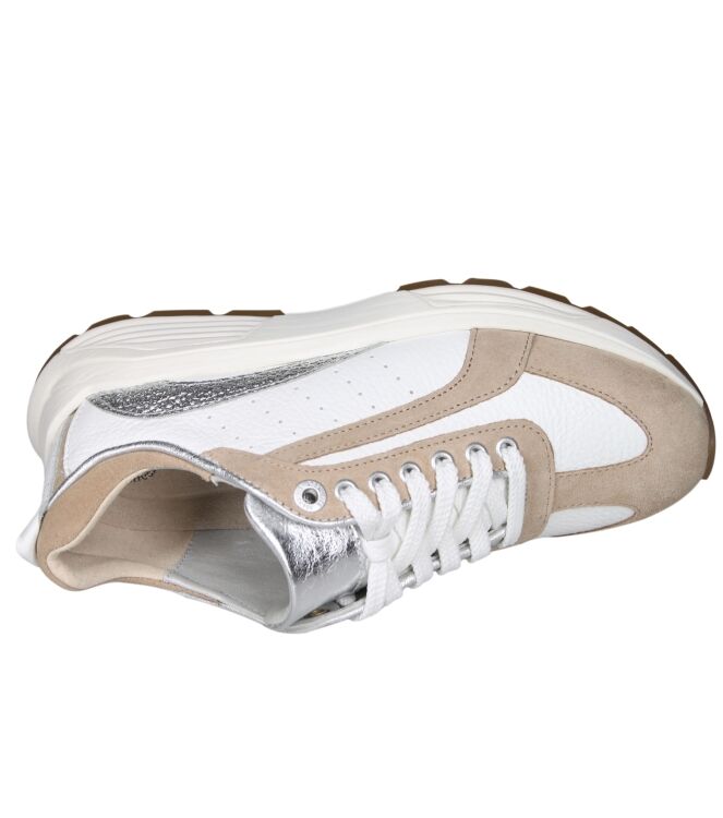 Xsensible 33013 Bailey