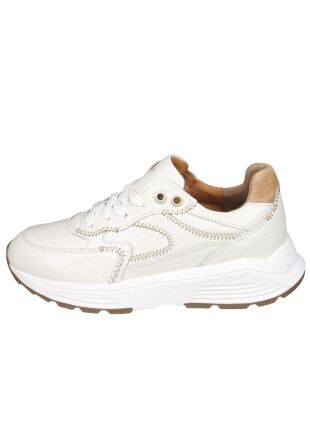 Xsensible Next Generation 33002 Ponte Vecchio