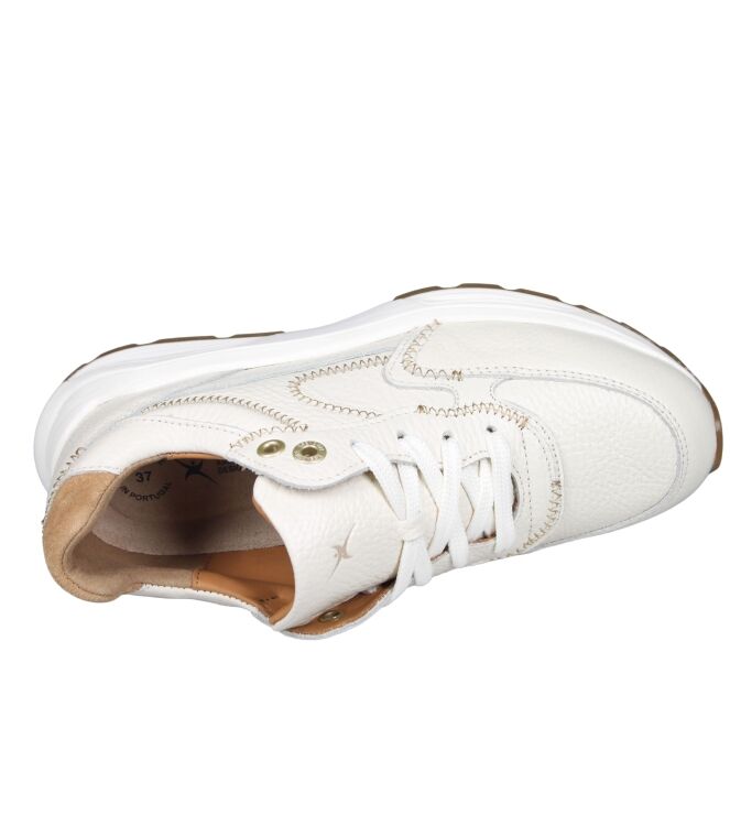 Xsensible 33002 Ponte Vecchio