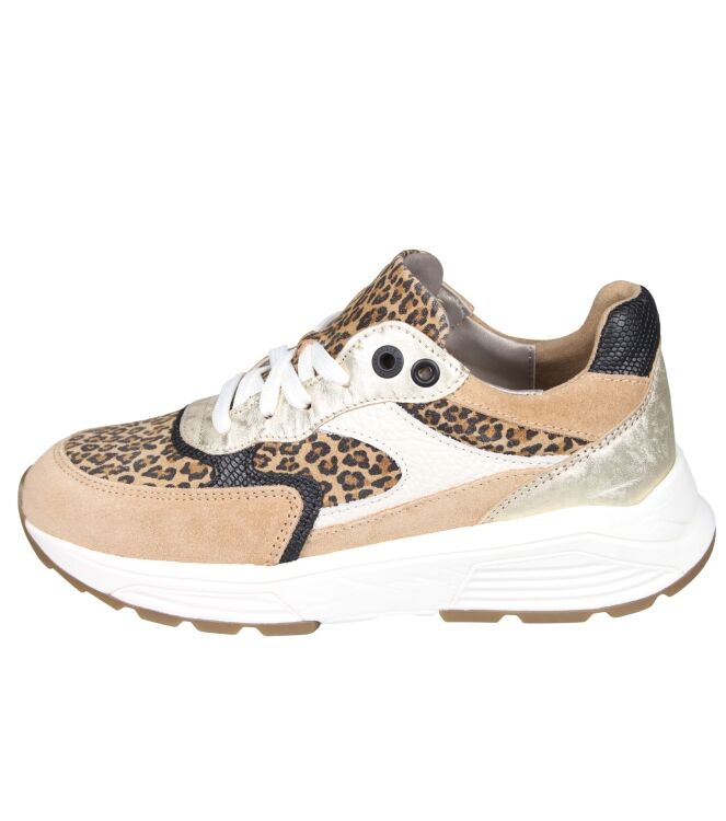 Xsensible 33002 Ponte Vecchio