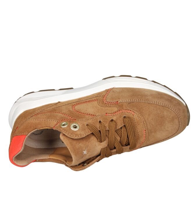 Xsensible 33002 Ponte Vecchio