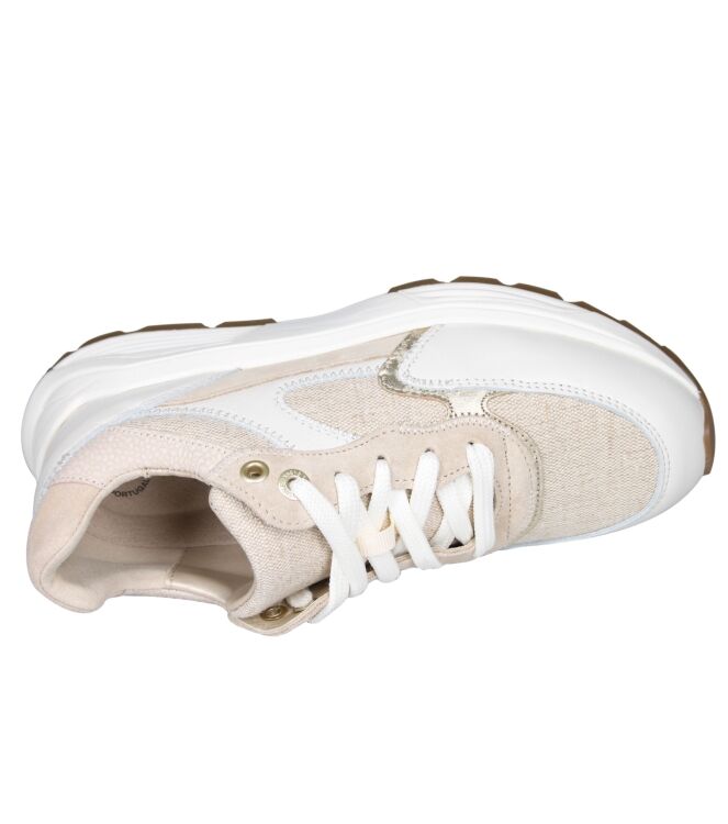 Xsensible 33002 Ponte Vecchio