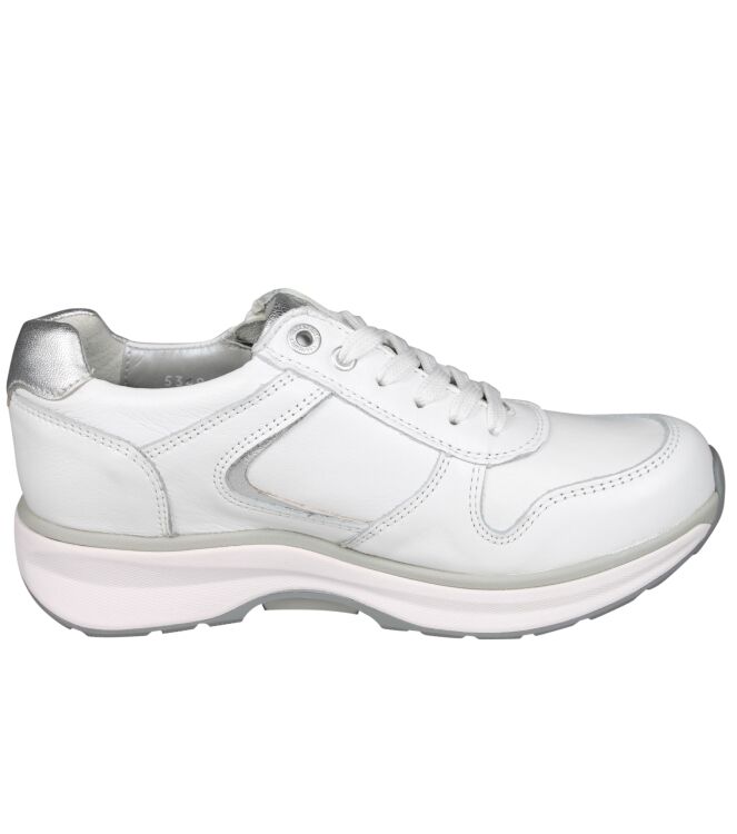 Xsensible 30150 New Jersey