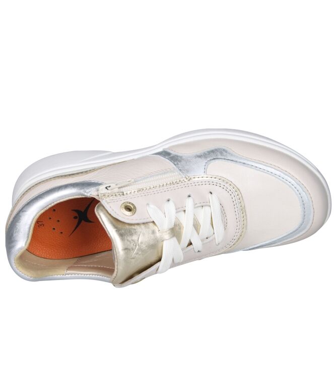 Xsensible 30204 Lima