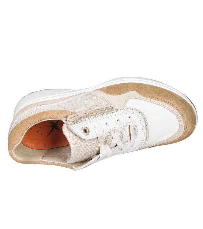 Xsensible 30204 Lima