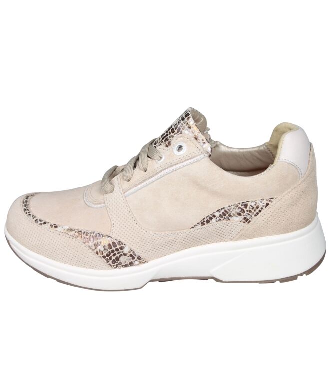 Xsensible 30229 Andorra