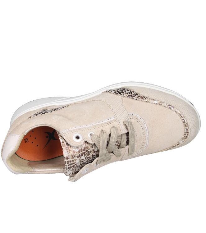 Xsensible 30229 Andorra