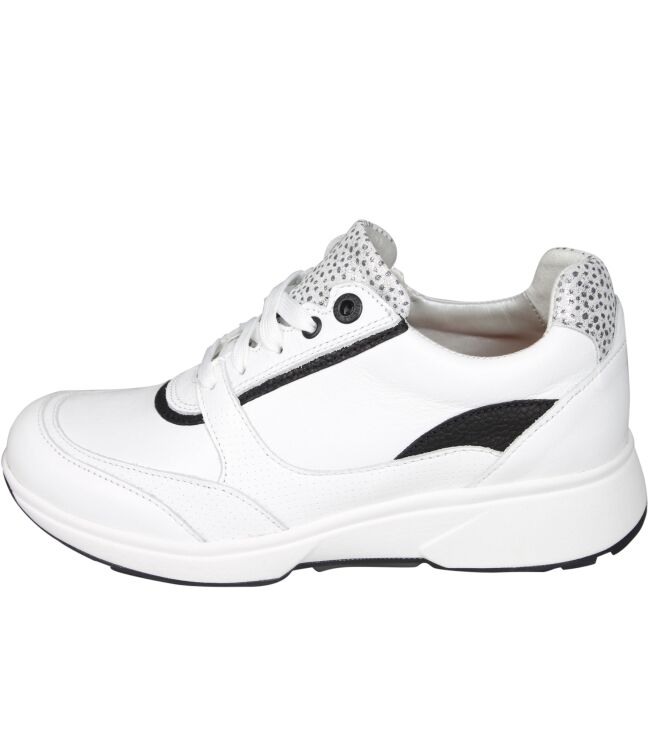 Xsensible 30229 Andorra